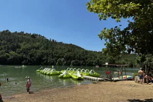journée interentreprises